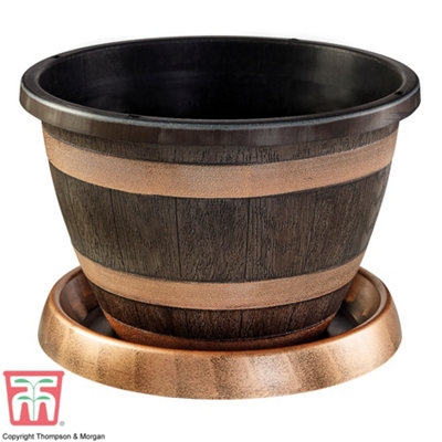 Thompson & Morgan Wooden Barrel Effect Pot & Saucer X 1 from B&Q