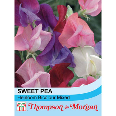 Thompson & Morgan Sweet Pea Heirloom Bicolour Mixed 1 Seed Packet (20 Seeds) from B&Q