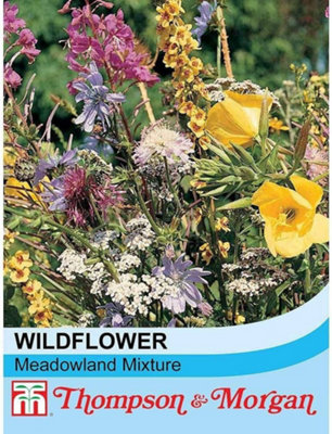 Thompson & Morgan Wildflower Meadowland Mixture 1 Seed Packet (1 Gram Seeds) from B&Q