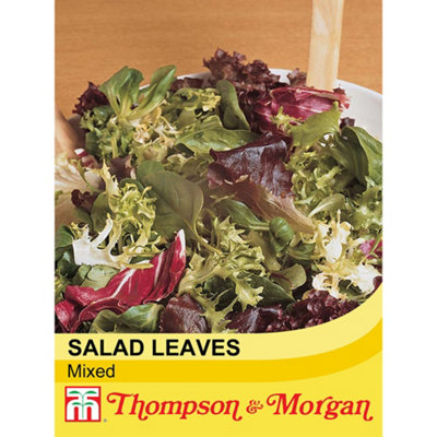 Thompson & Morgan Lettuce Leaves Mixed 1 Seed Packet (400 Seeds) from B&Q