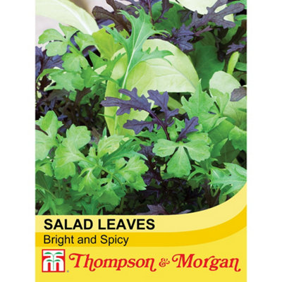 Thompson & Morgan Salad Leaves Bright And Spicy 1 Seed Packet (750 Seeds) from B&Q