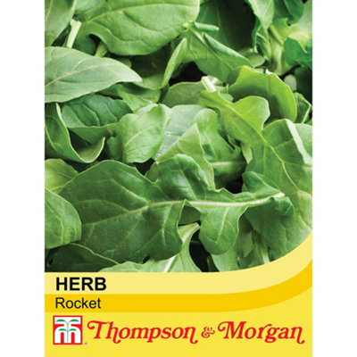 Thompson & Morgan Herb Rocket 1 Seed Packet (500 Seeds) from B&Q