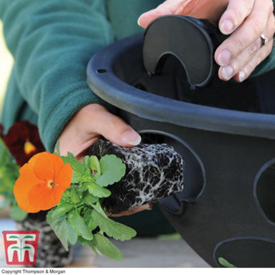 Thompson & Morgan Hanging Basket Outdoor Garden Planter Plant Container With Water Reservoir For Flowers (30Cm4 Pack) from B&Q