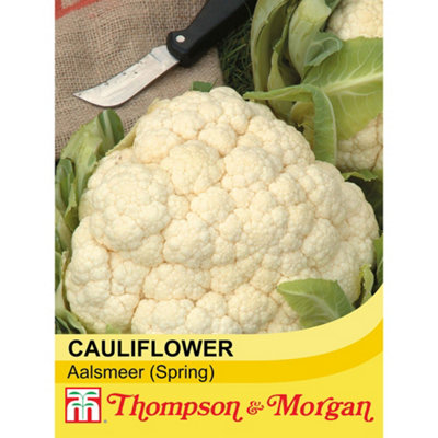 Thompson & Morgan Thompson And Morgan Winter Aalsmeer Cauliflower Seeds - Image 3