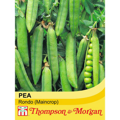 Thompson & Morgan Pea Rondo 1 Seed Packet (200 Seeds) from B&Q