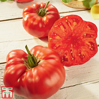 Thompson & Morgan Tomato Grafted Buffalosteak 9Cm Potted Plant X 1 Peat Free from B&Q