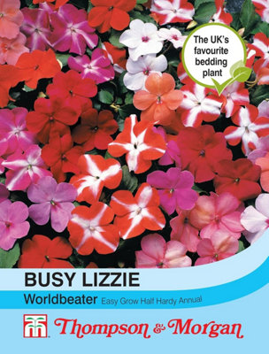 Thompson & Morgan Impatiens (Busy Lizzie) Worldbeater 1 Seed Packet (30 Seeds) from B&Q