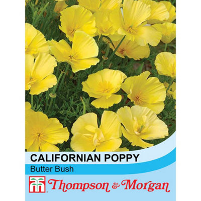Thompson & Morgan Californian Poppy Butter Bush 1 Seed Packet (150 Seeds) from B&Q