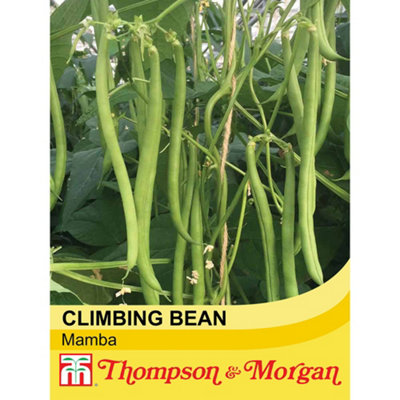 Thompson & Morgan Climbing Bean Mamba 1 Seed Packet  (40 Seeds) from B&Q