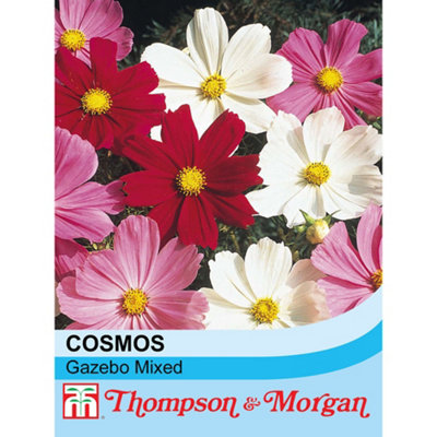 B&Q -  Cosmos Gazebo Mixed 1 Seed Packet (100 Seeds)