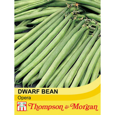 B&Q -  Dwarf Bush Bean Opera 1 Seed Packet (75 Seeds)