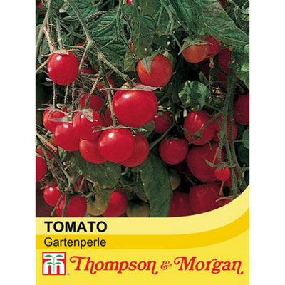 B&Q -  Tomato Gartenperle 1 Seed Packet (20 Seeds)