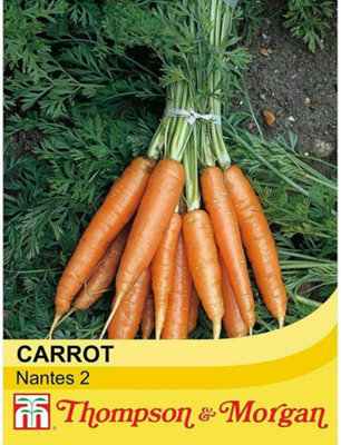 Thompson & Morgan Carrot Early Nantes 2 (Nantes 2) 1 Packet (1000 Seeds) from B&Q