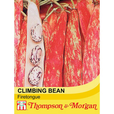 B&Q -  Climbing Bean Borlotto Lingua Di Fuoco 1 Seed Packet (75 Seeds)