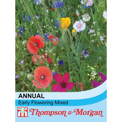 Thompson & Morgan Wildflower Annual Early Flowering Mixed 1 Seed Packet (1 Gram) from B&Q