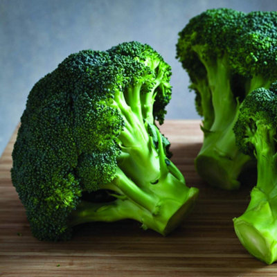 Thompson & Morgan Broccoli Belstar F1 Hybrid (Calabrese) 1 Seed Packet Green