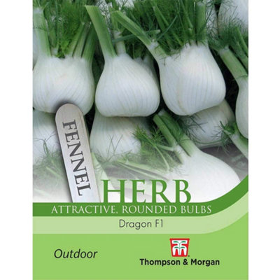 Thompson & Morgan Herb Fennel Dragon F1 Hybrid 1 Seed Packet from B&Q