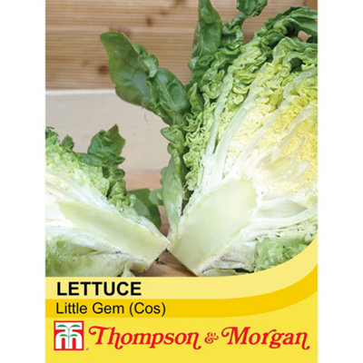 Thompson & Morgan Lettuce (Romaine/cos) Little Gem 1 Seed Packet (1000 Seeds) from B&Q