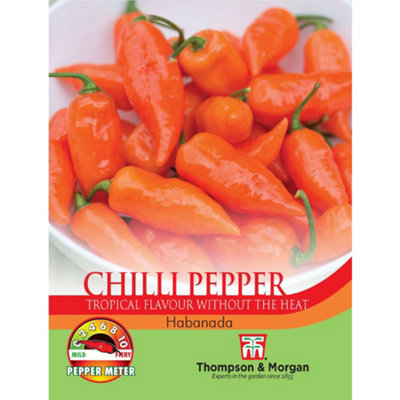 Thompson & Morgan Chilli Pepper Habanada 1 Seed Packet (5 Seeds) from B&Q