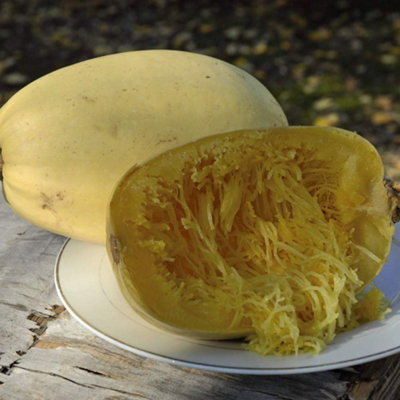 Thompson & Morgan Squash Spaghetti Primavera F1 1 Seed Packet