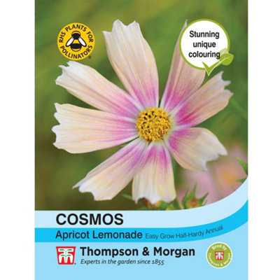 Thompson & Morgan Cosmos Bipinnatus Apricot Lemonade 1 Seed Packet (40 Seeds) from B&Q