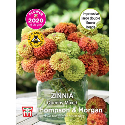 B&Q -  Zinnia Elegans Queeny Mixed Foty 1 Packet (15 Seeds)