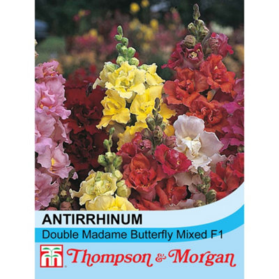 Thompson & Morgan Antirrhinum Double Madame Butterfly Mixed F1 Hybrid 1 Packet (60 Seeds) from B&Q