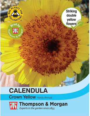 Thompson & Morgan Calendula Double Crested Crown Yellow 1 Packet (100 Seeds) from B&Q