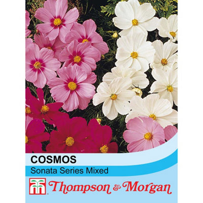 Thompson & Morgan Cosmos Bipinnatus Sonata Series Mixed 1 Seed Packet (30 Seeds) from B&Q