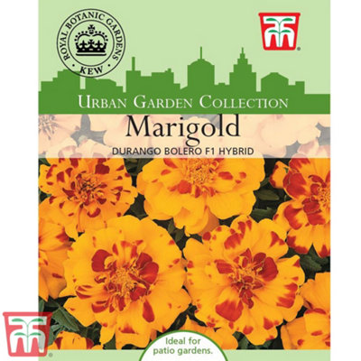 Thompson & Morgan Marigold Durango Bolero F1 Hybrid 1 Seed Packet (30 Seeds) from B&Q