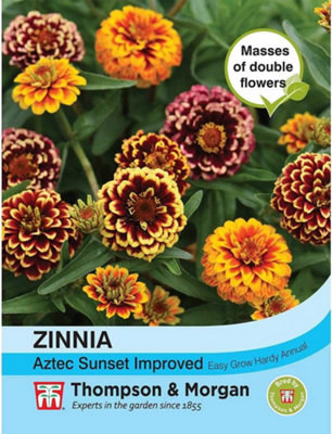 B&Q -  Zinnia Haageana Aztec Sunset 1 Packet (20 Seeds)