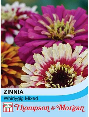 Thompson & Morgan Zinnia Elegans Whirlygig Mixed 1 Packet (75 Seeds) from B&Q