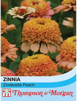 Thompson & Morgan Zinnia Elegans Zinderella Peach 1 Packet (20 Seeds) from B&Q