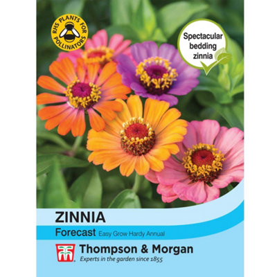 Thompson & Morgan Zinnia Elegans Forecast 1 Seed Packet (40 Seeds) from B&Q
