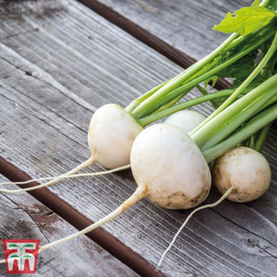 B&Q -  Turnip Rapa De Lodi 1 Seed Packet (5400 Seeds)