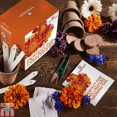 Thompson & Morgan Pollinators Flower Seed Grow Kit1 Pack from B&Q