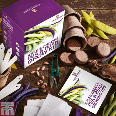 Thompson & Morgan Seed Grow Kit Kaleidoscope Pea + Bean from B&Q