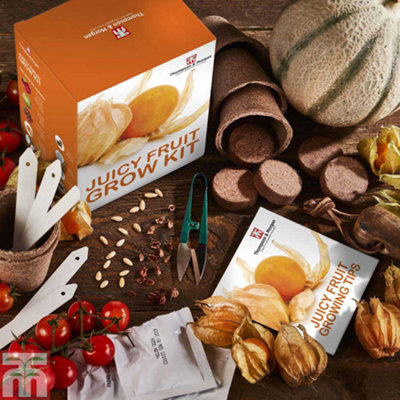 Thompson & Morgan Seed Growing KitJuicy Fruits from B&Q