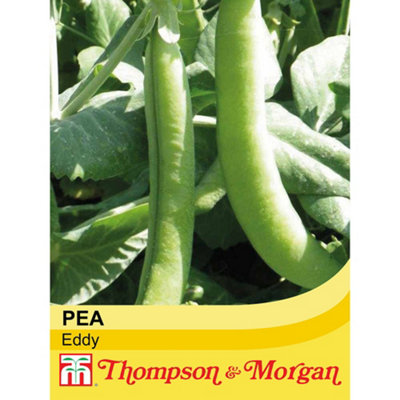 Thompson & Morgan Pea Eddy 1 Seed Packet (300 Seeds) from B&Q