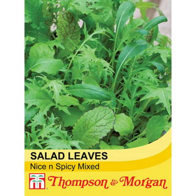 Thompson & Morgan Salad Leaves Nice & Spicy Mixed 1 Seed Packet (250 Seeds) from B&Q