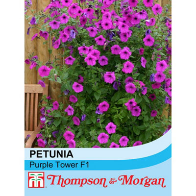 Thompson & Morgan Petunia Hybrida Purple Tower F1 Hybrid 1 Packet (25 Seeds ) from B&Q