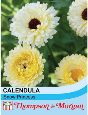 Thompson & Morgan Calendula Officinalis Snow Princess 1 Seed Packet (50 Seeds) from B&Q
