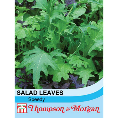 Thompson & Morgan Salad Leaves Speedy 1 Seed Packet (400 Seeds) from B&Q