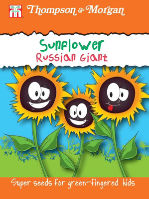 B&Q -  Sunflower Russian GiantRhs Kids 1 Seed Packet (25 Seeds)