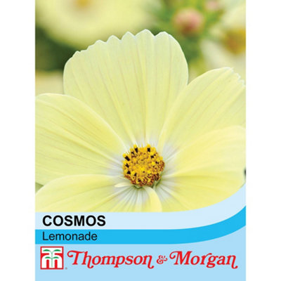 Thompson & Morgan Cosmos Lemonade 1 Seed Packet (30 Seeds) from B&Q