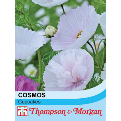 Thompson & Morgan Cosmos Bipinnatus Cupcakes 1 Seed Packet (100 Seeds) from B&Q