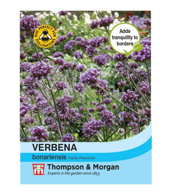 Thompson & Morgan Verbena Bonariensis 1 Seed Packet (200 Seeds) from B&Q