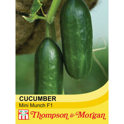 B&Q -  Cucumber Mini Munch F1 Hybrid 1 Seed Packet