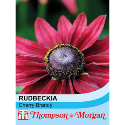 Thompson & Morgan Rudbeckia Cherry Brandy 1 Seed Packet (50 Seeds) from B&Q