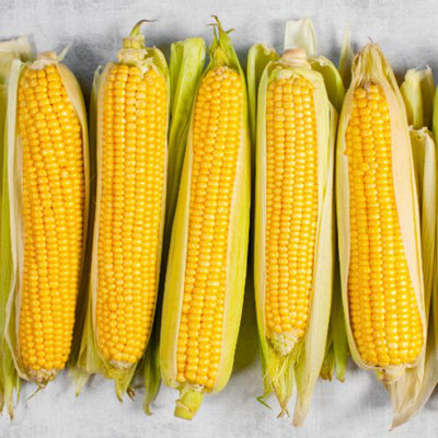 Thompson & Morgan Sweetcorn Lark F1 Hybrid 1 Seed Packet from B&Q